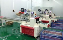 <b>Automatic Fruit Packing Machine for Sale</b>