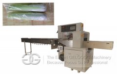 <b>Vegetable Pillow Type Packing Machine for Sale</b>