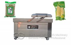 <b>Double Chamber Vacuum Packing Machine With Low Price for Sale</b>